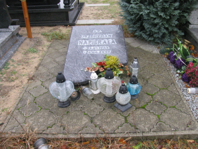 Grób Przemysław Napierała