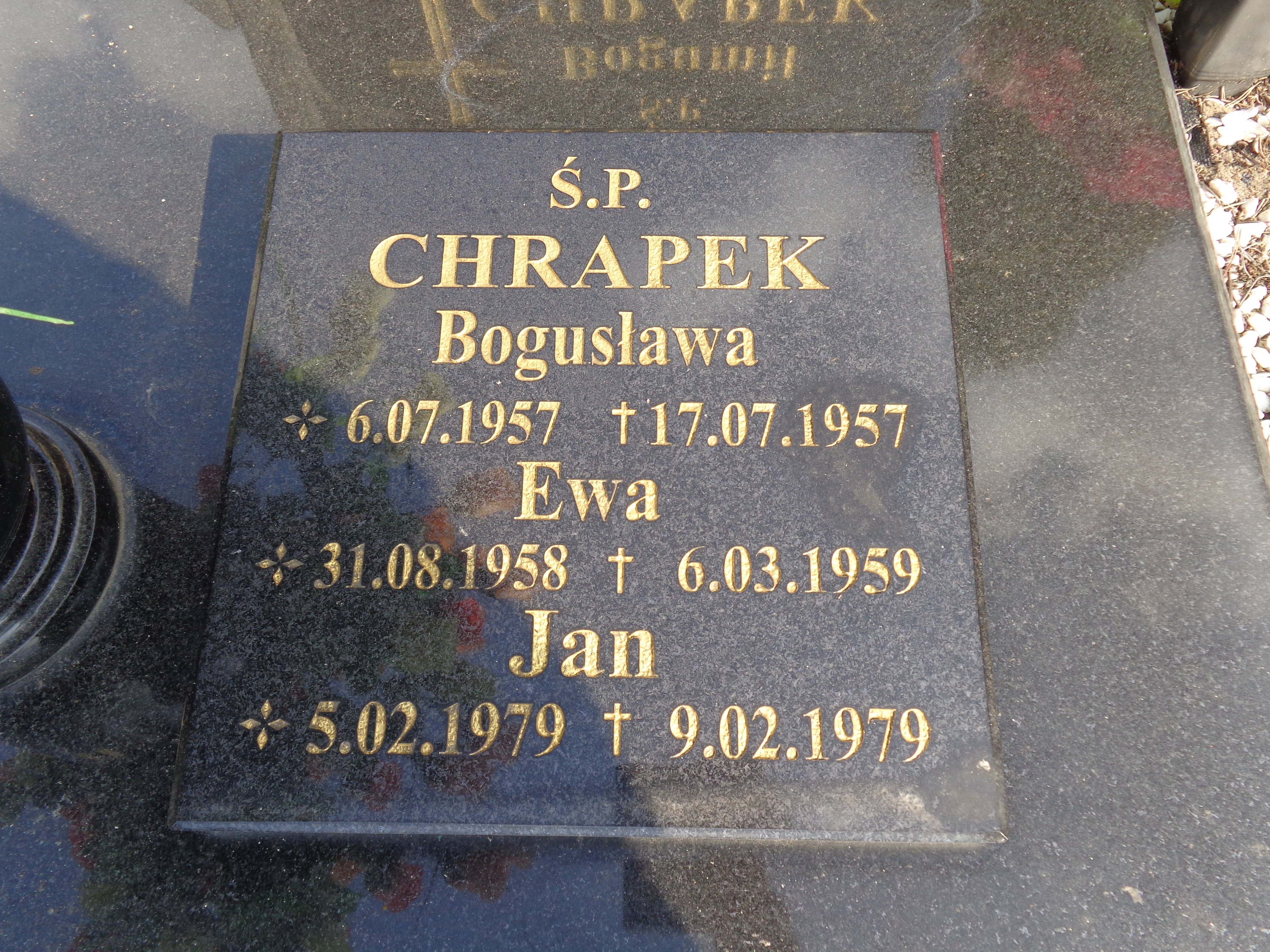 Grób Bogusław Chrapek